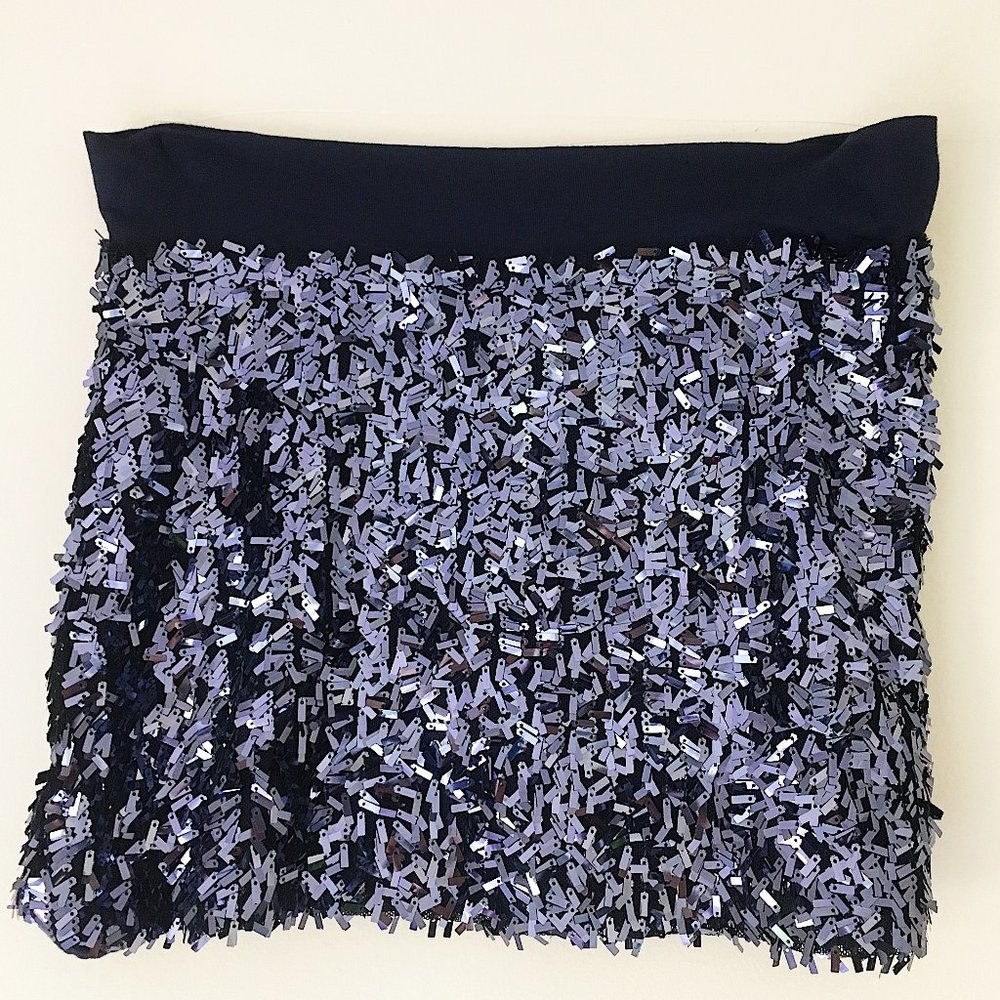 SASCH Sequined Skirt in Navy